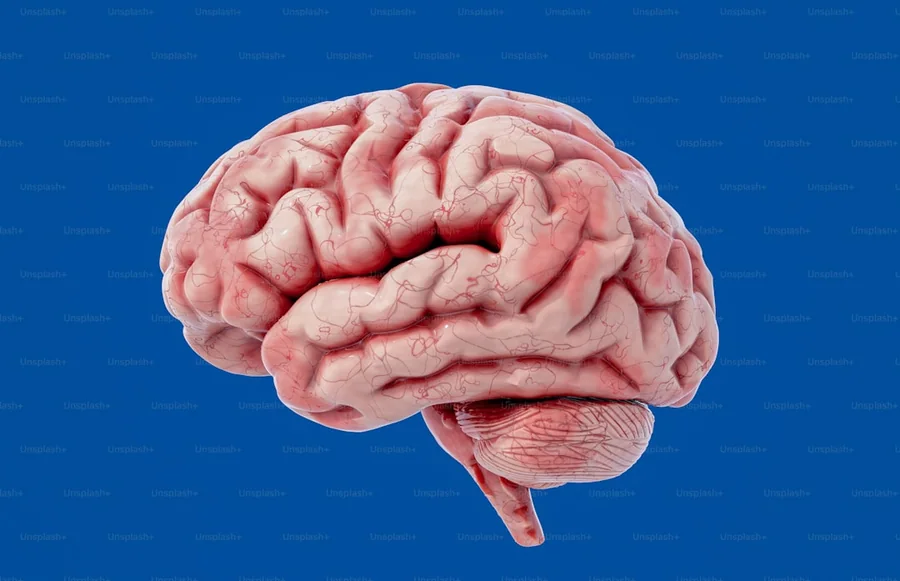 Neurologia